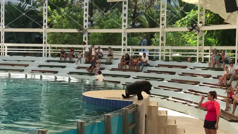 Kemer Dolphinpark Ayışığı Kompleksi içi - Photo 10