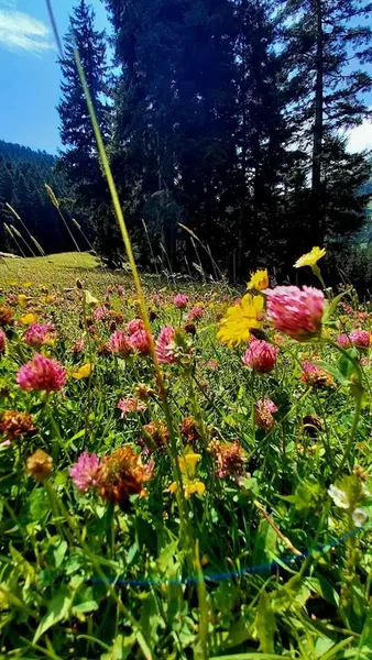 Kemik Kolye - Photo 10