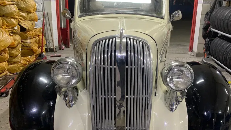 Kent Rot - Photo 2