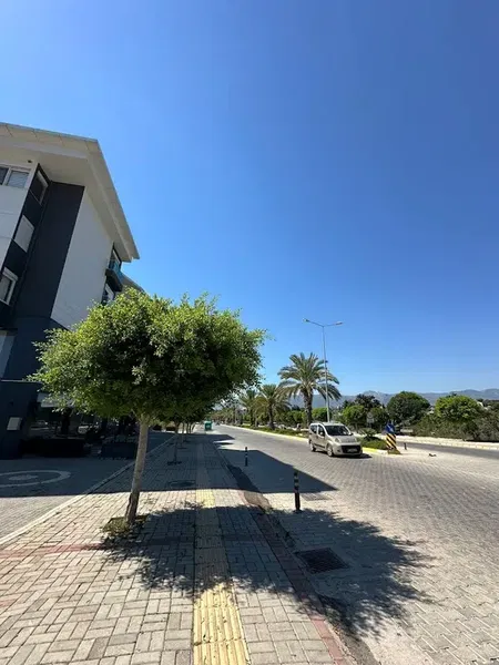 Kestel Mahalle Muhtarlığı - Photo 1