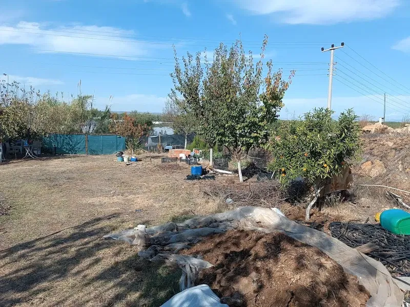 Keyfi bahçe - Photo 3