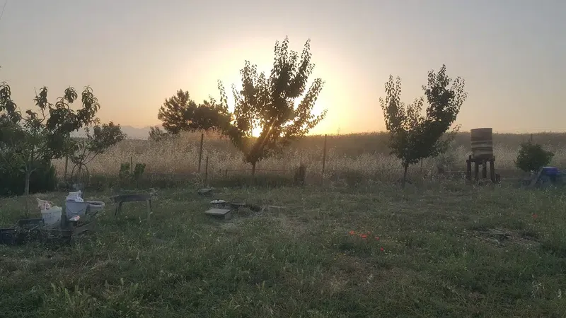 Keyfi bahçe - Photo 8