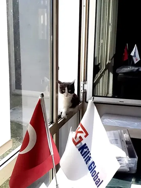 Kilit Group HQ - Photo 9