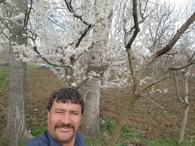 Kiraz Bahçesi - Photo 7