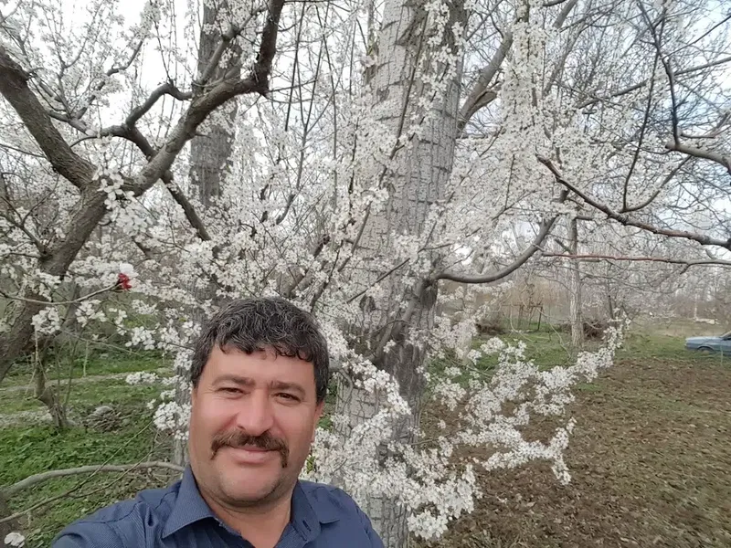Kiraz Bahçesi - Photo 10