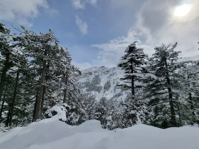 Kiraz Dağı - Photo 4