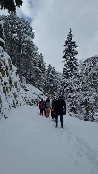 Kiraz Dağı - Photo 7