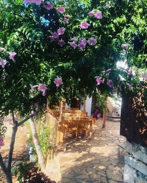 Kirazlı Ev - Photo 5