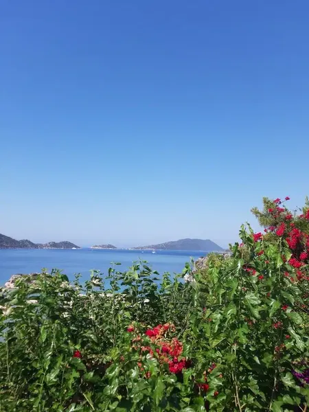 Kirazlı Ev - Photo 6