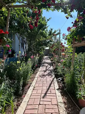 Kircali Hobi̇ Bahçesi̇
