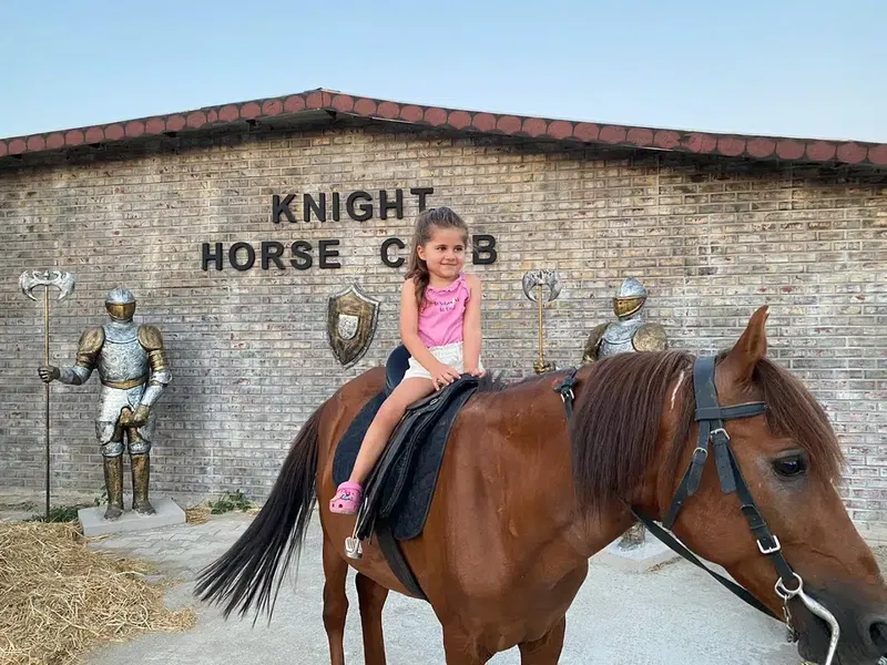 Knight Horse Club - Photo 3