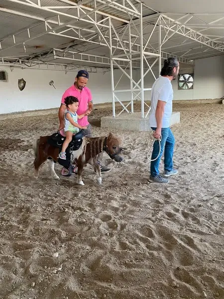 Knight Horse Club - Photo 6