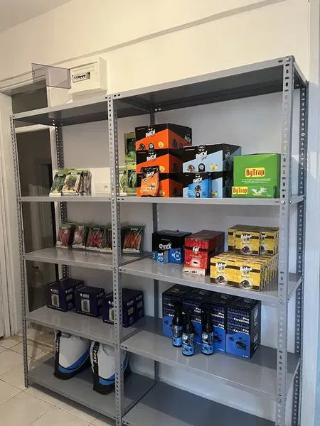 Kodak Tarim - Photo 1