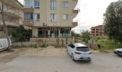 Kolak Tarim