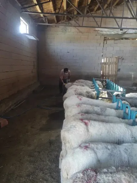 Komutan Çiftliği - Photo 8