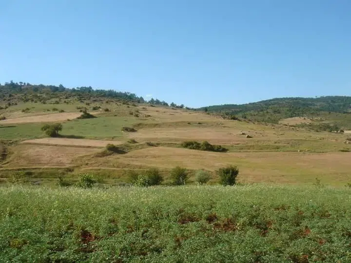 Konakkale Belediyesi - Photo 3