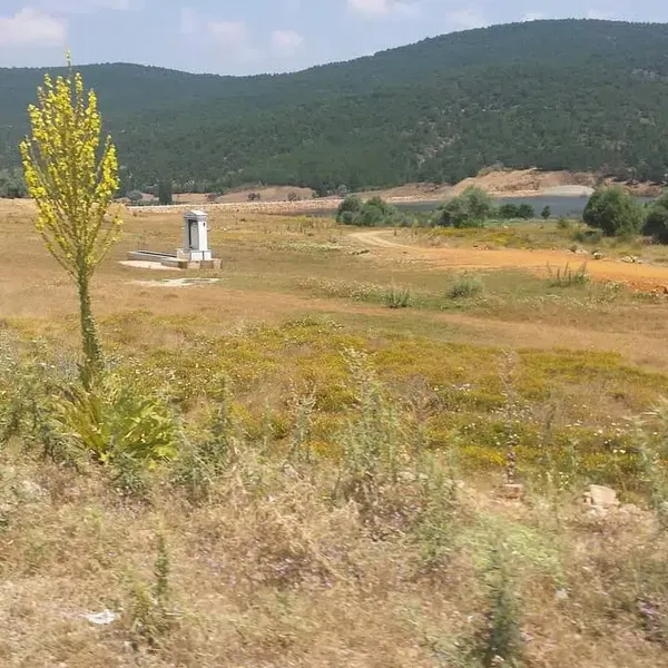 Konakkale Belediyesi - Photo 7