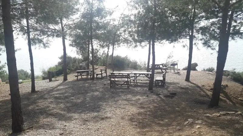Konaklı Piknik/Mangal Alanı - Photo 3