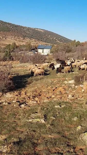 Konya 42 - Photo 6