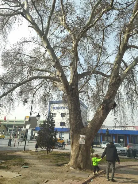 Konya Meram Gar Kütüphanesi - Photo 8