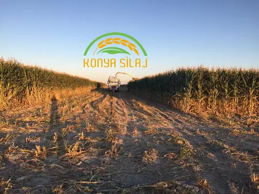 Konya Silaj
