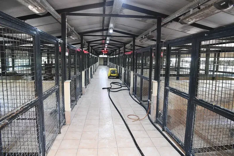 Konyaaltı Belediyesi Veteriner İşleri Müdürlüğü - Photo 6