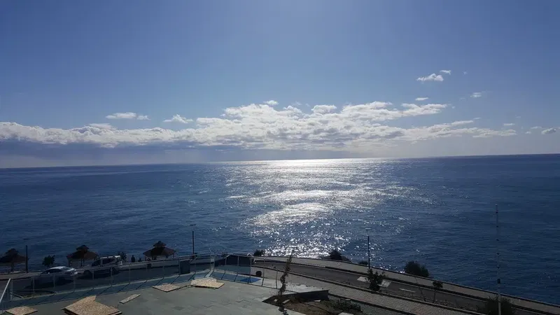 Koru Denizi Piknik Alanı - Photo 5