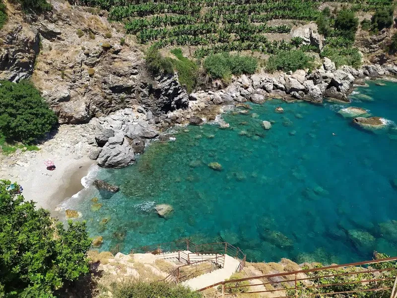 Koru Denizi Piknik Alanı - Photo 10