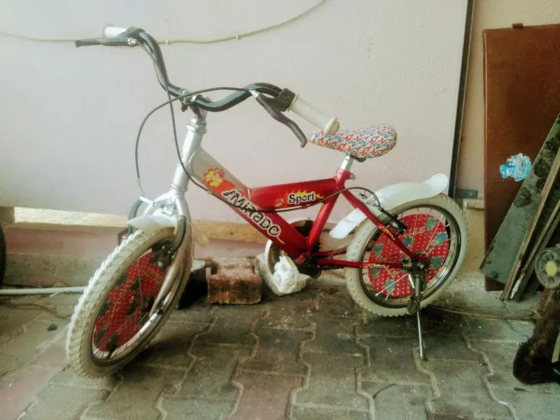 Kosova motor - Photo 4