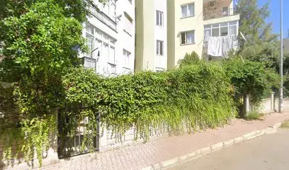 Kozalak Medya