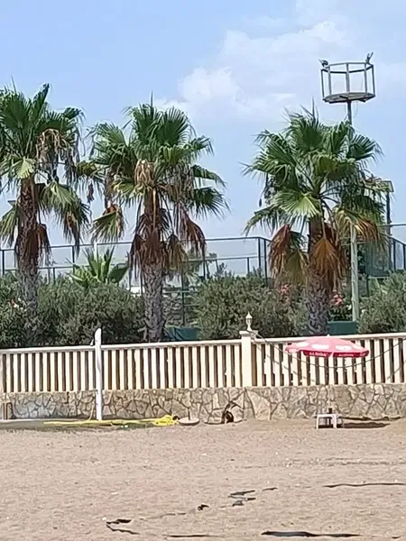 Kral 07 Water Sports - Photo 4
