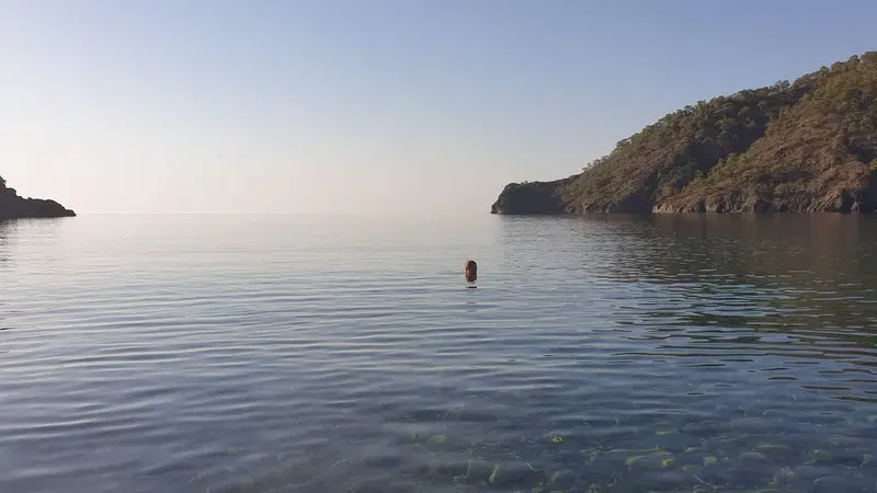 Kral Koyu - Photo 9