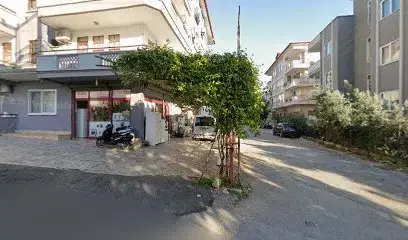 Kral Şans Oyunları