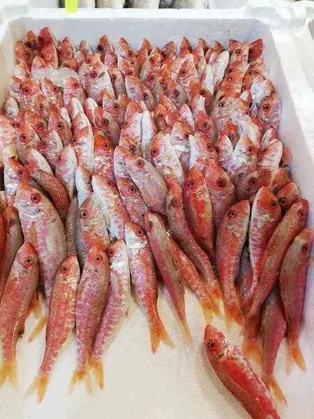 Kumaş Balıkçılık - Photo 4