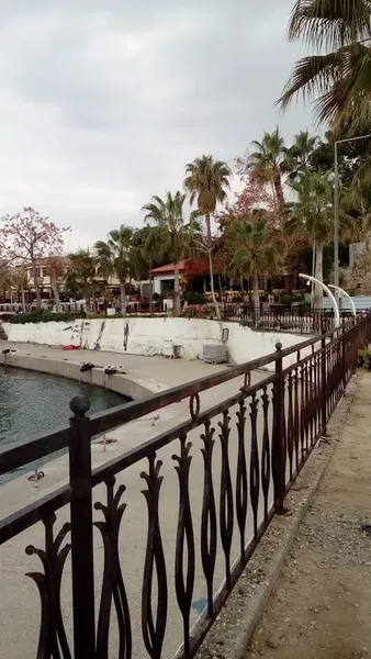 Kumköy Taksi - Photo 5