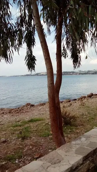 Kumköy Taksi - Photo 10