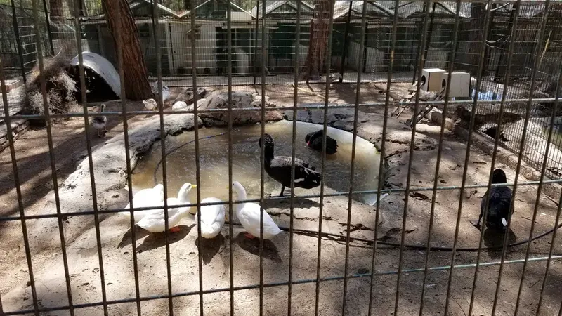 Kumluca Cistern Hill Zoo - Photo 5