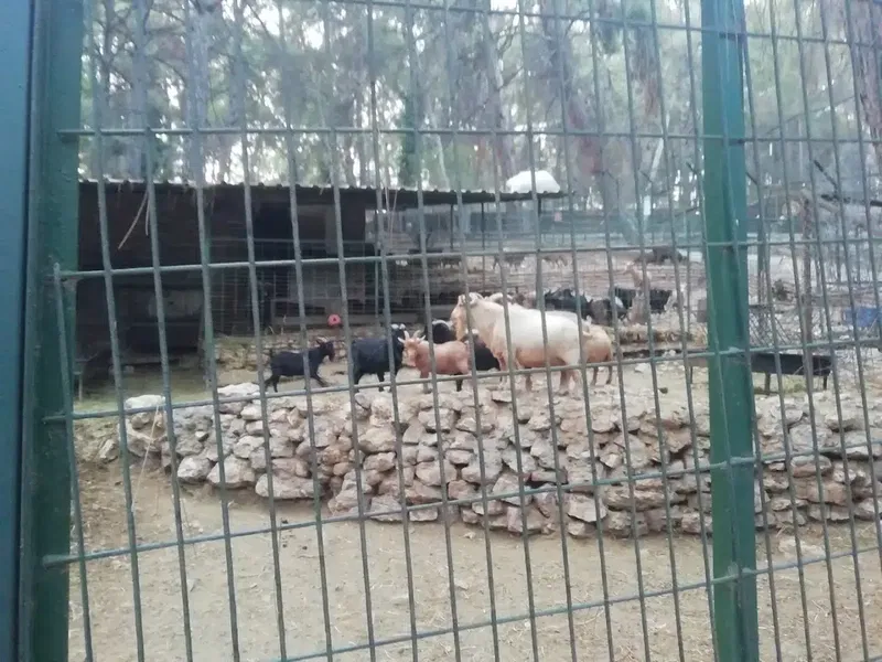 Kumluca Cistern Hill Zoo - Photo 7