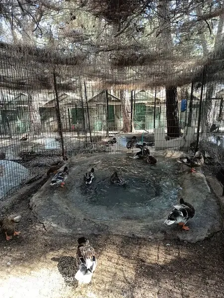 Kumluca Cistern Hill Zoo - Photo 10