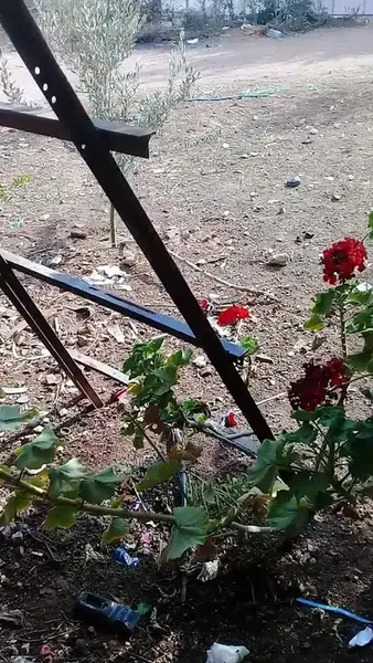 Kumluca Şehir Girişi - Photo 6
