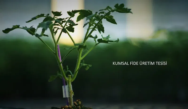 Kumsal Fi̇de Tohumculuk - Photo 1
