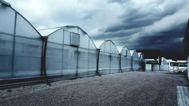 Kumsal Fi̇de Tohumculuk - Photo 9