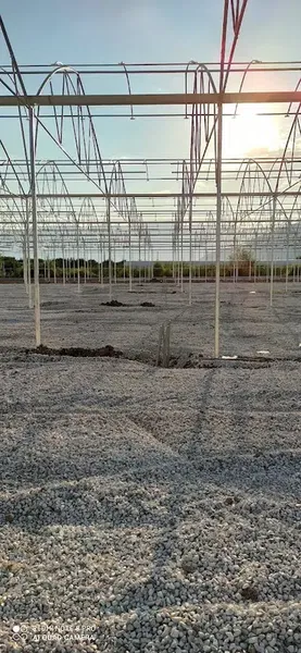 Kumsal Fi̇de Tohumculuk - Photo 10
