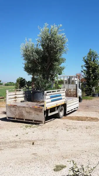 Kumsal Nakliyat Antalya - Photo 8