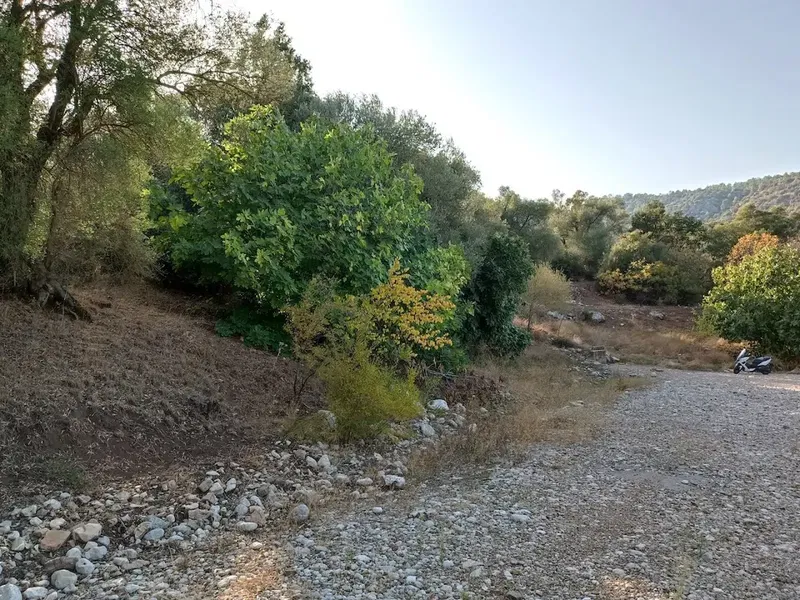 Kuru çeşme - Photo 3