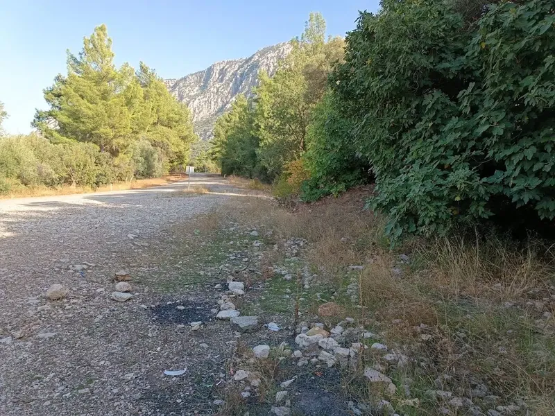 Kuru çeşme - Photo 5