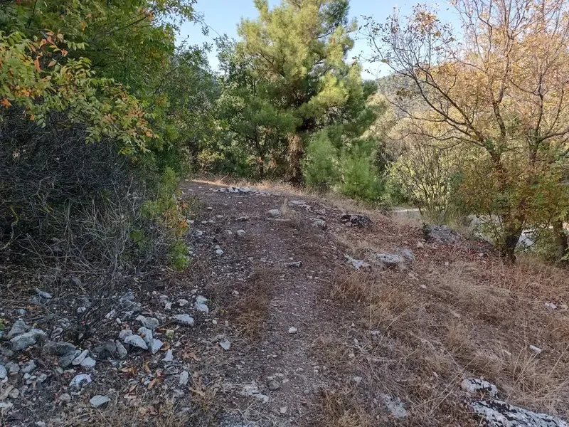 Kuru çeşme - Photo 8