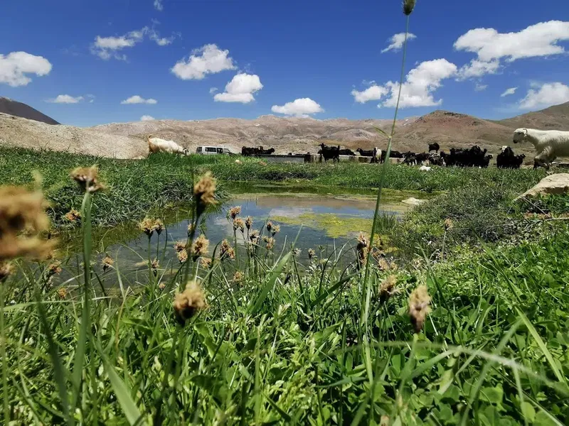 Kurugöl Yaylası/Kayabükü - Photo 1