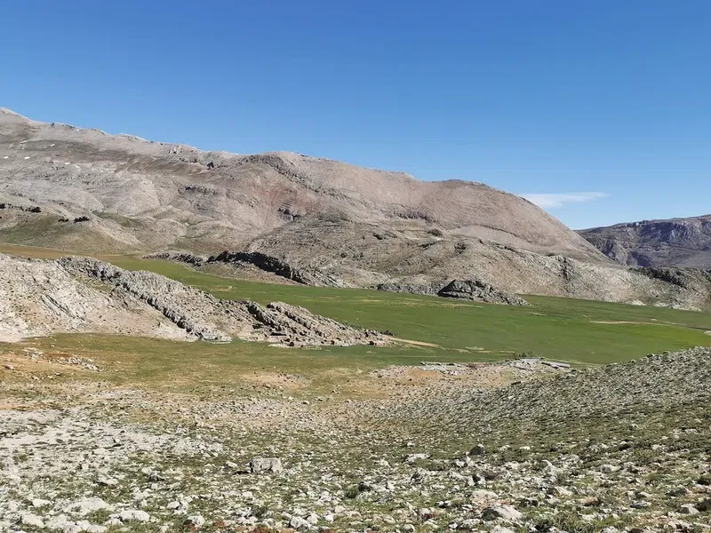 Kurugöl Yaylası/Kayabükü - Photo 5