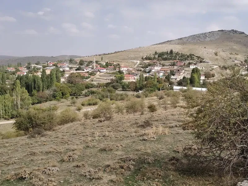 Kurşunlu Kask at çiftliği ve kafe - Photo 4